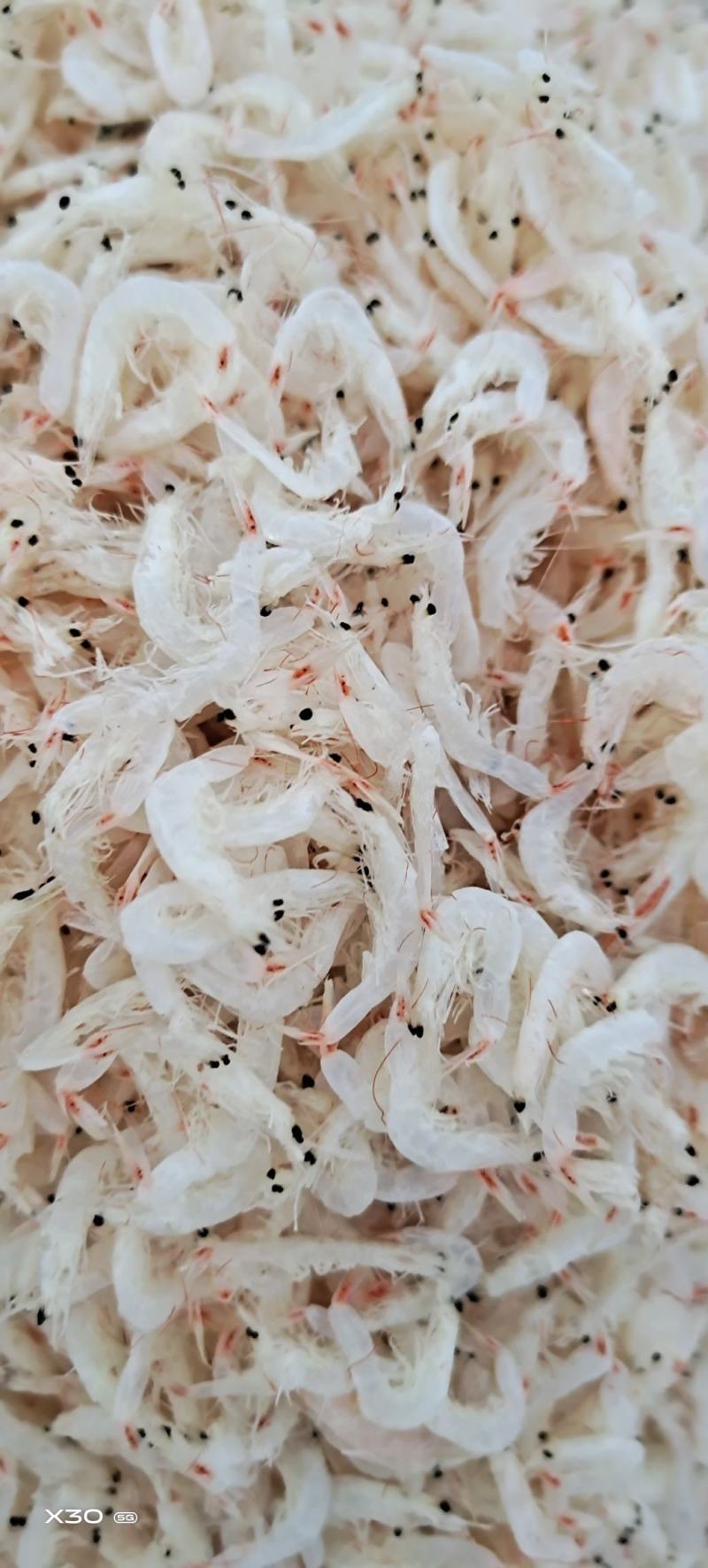 虾皮
