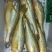 东海小黄鱼10条每斤500克