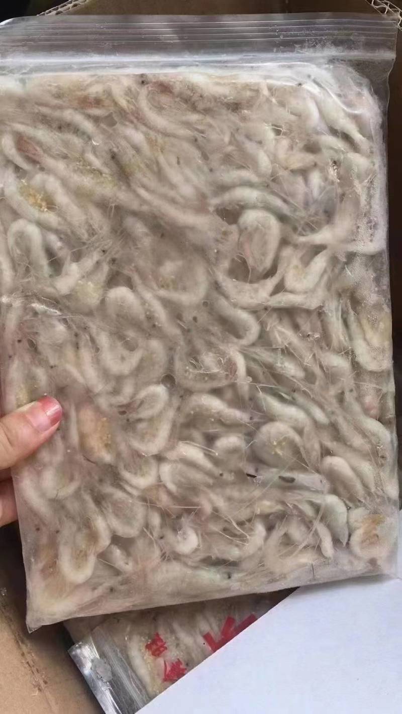 白米虾