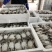 新鲜冷冻梭子蟹母蟹海鲜水产大螃蟹批发价大白蟹东海海鲜