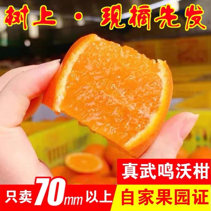 沃柑一件代发整车批发落地配快手抖音欢迎对接各个渠道