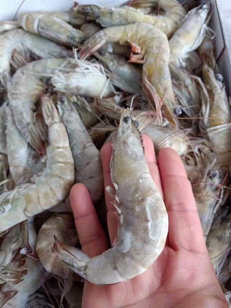 16-20头一斤大青头虾，白灼不黑头，合适酒席，市场，