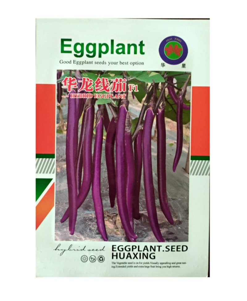 杭茄种子线茄种子红线茄种子紫长茄子种子细长型