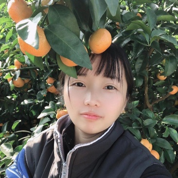 广西沙糖桔直割果园一千亩合作基地剪果队加代办