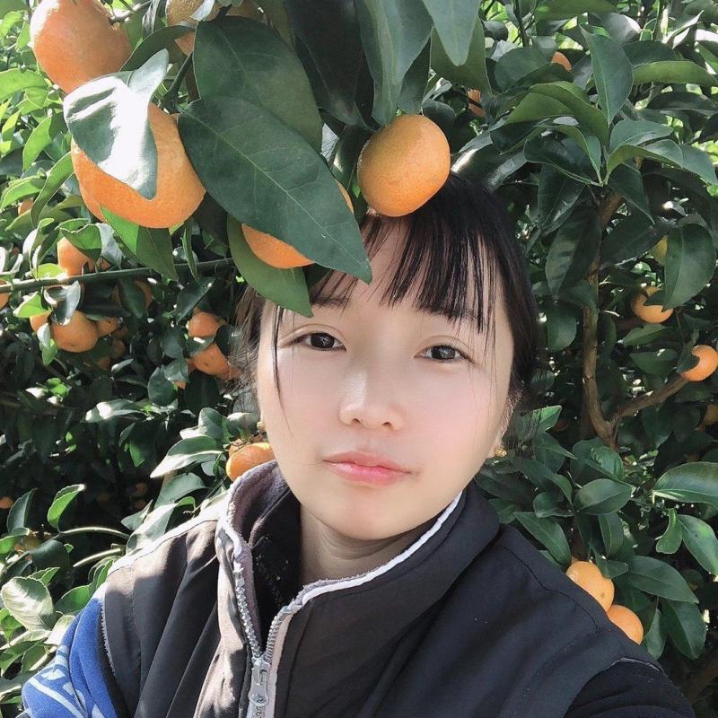 广西沙糖桔直割果园一千亩合作基地剪果队加代办