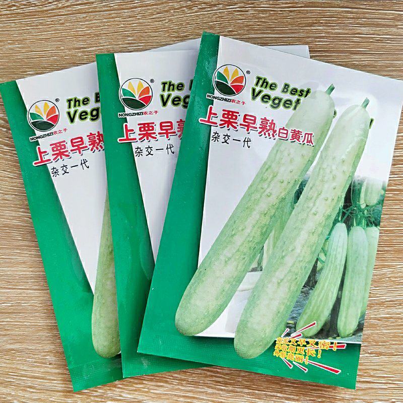 上栗早熟翠香六号白黄瓜种子黄瓜种籽春秋栽培四季水果春季秋