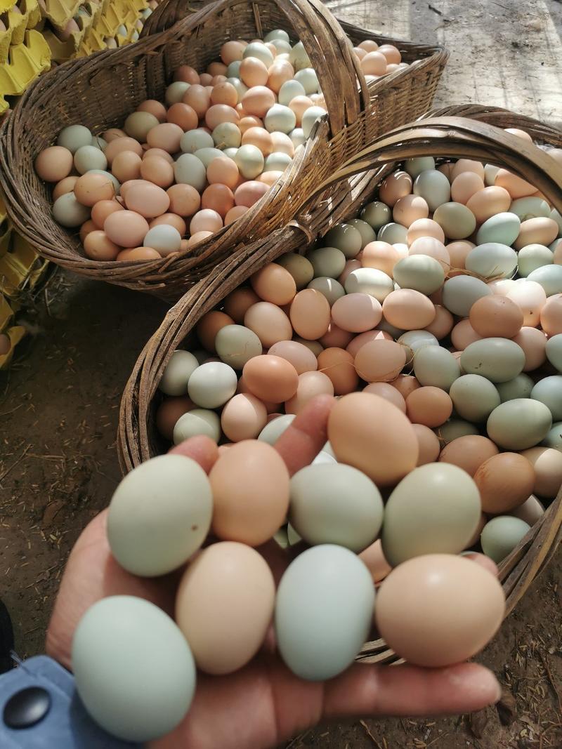 散养土鸡蛋，鸡场直发新鲜便宜，蛋黄圆润饱满，吃着香