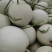 玉菇