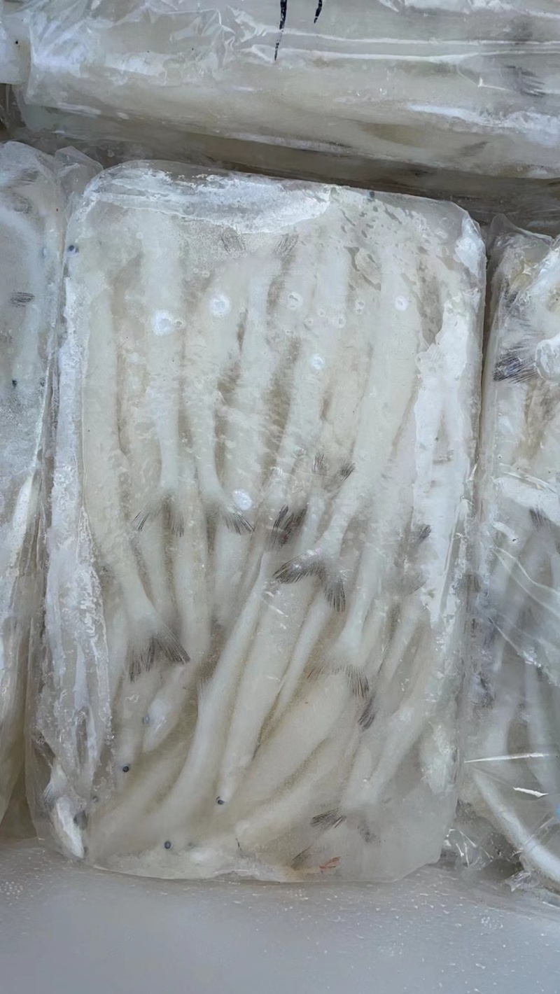 银鱼鲜活鲜冻新鲜小银鱼银鱼板冻大银鱼面条鱼