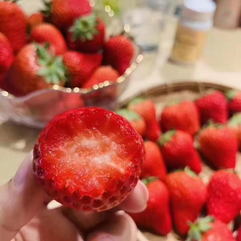 辽宁丹东九九草莓红颜草莓奶油草莓全国发货
