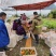广西阳朔新鲜应季水果沙糖桔，诚信代办经营各种水果