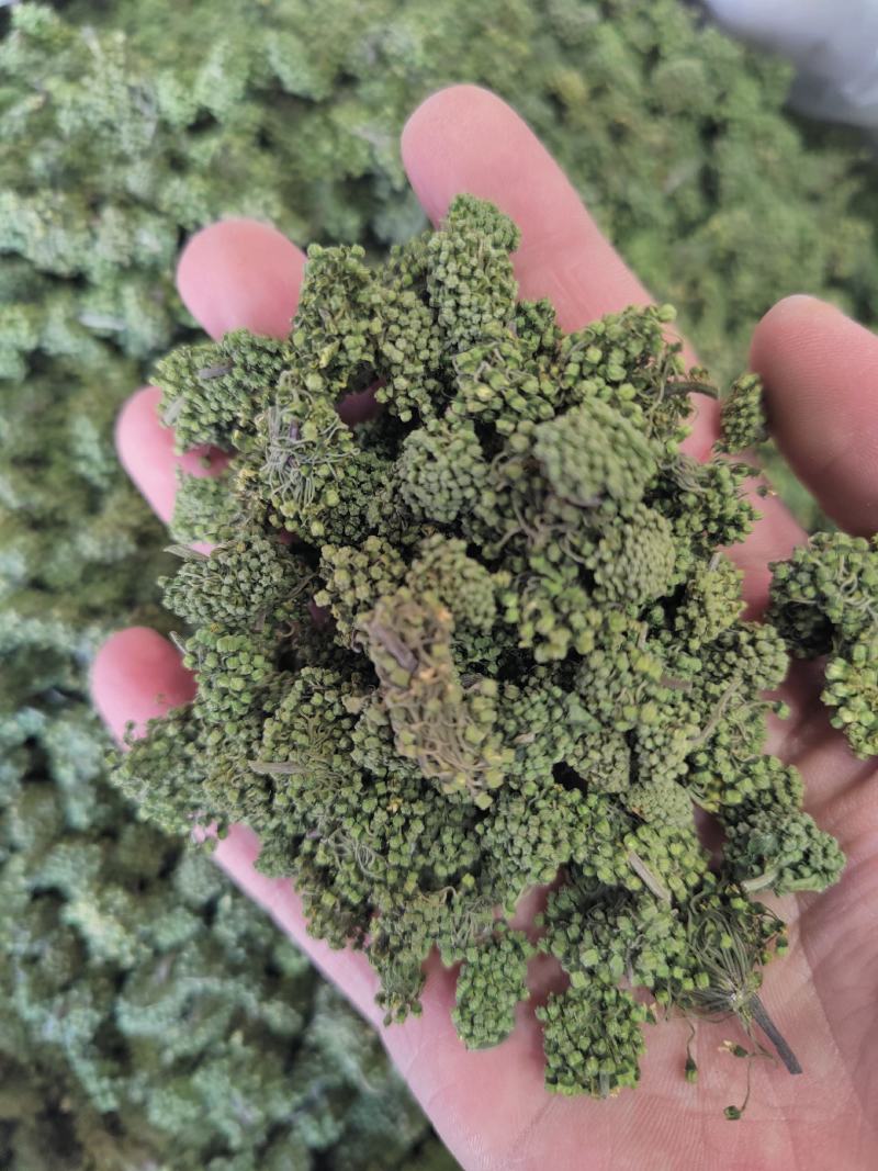 三七花云南文山四年新三七花三七三七花泡水