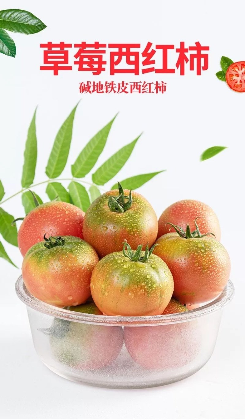 盘锦碱地柿子大量现货欢迎骚扰！支持原产地溯源！对接各渠道
