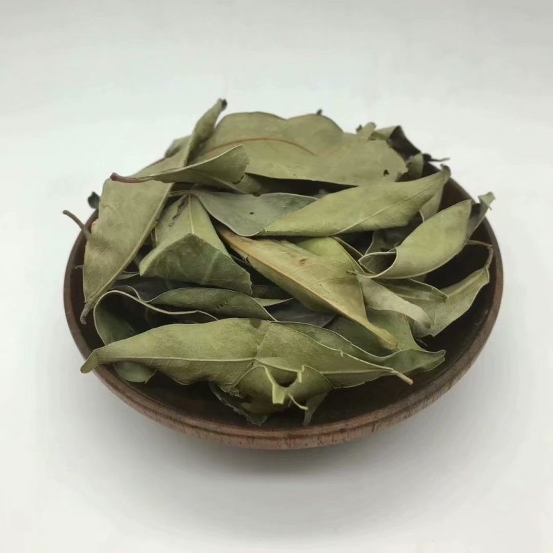 金叶子中药材劳伤叶云南假木荷马虱子草冷背药材大全