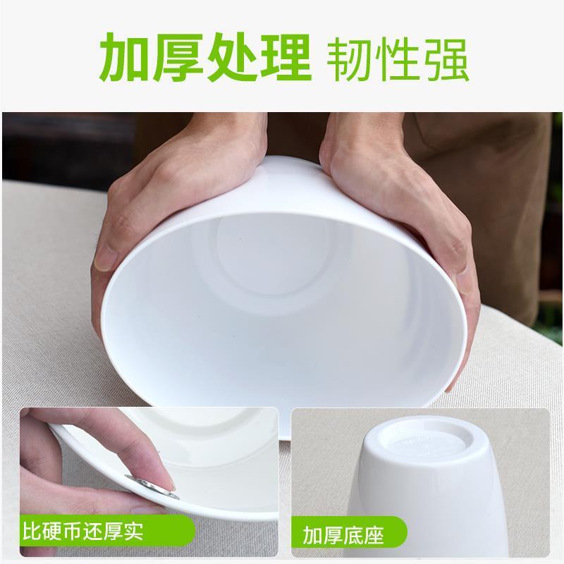 懒人自吸绿萝用懒人盆厂家清仓特价批发吊兰水培自吸盆塑料吸