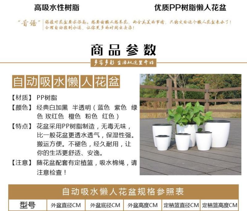 懒人自吸绿萝用懒人盆厂家清仓特价批发吊兰水培自吸盆塑料吸