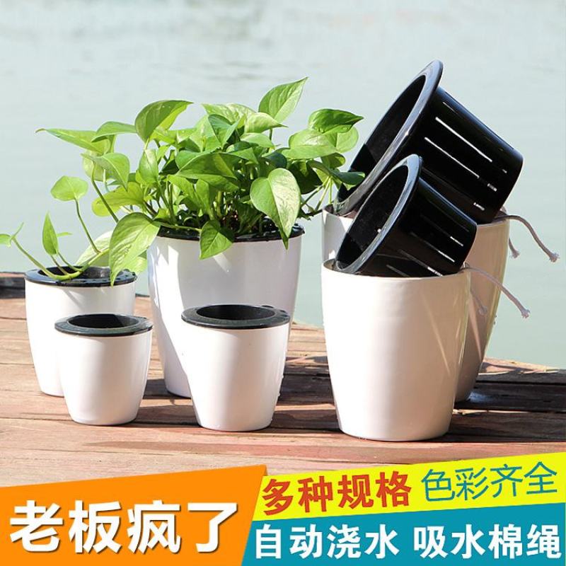 懒人自吸绿萝用懒人盆厂家清仓特价批发吊兰水培自吸盆塑料吸