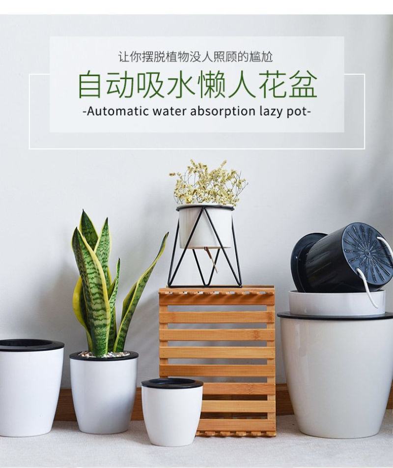 懒人自吸绿萝用懒人盆厂家清仓特价批发吊兰水培自吸盆塑料吸