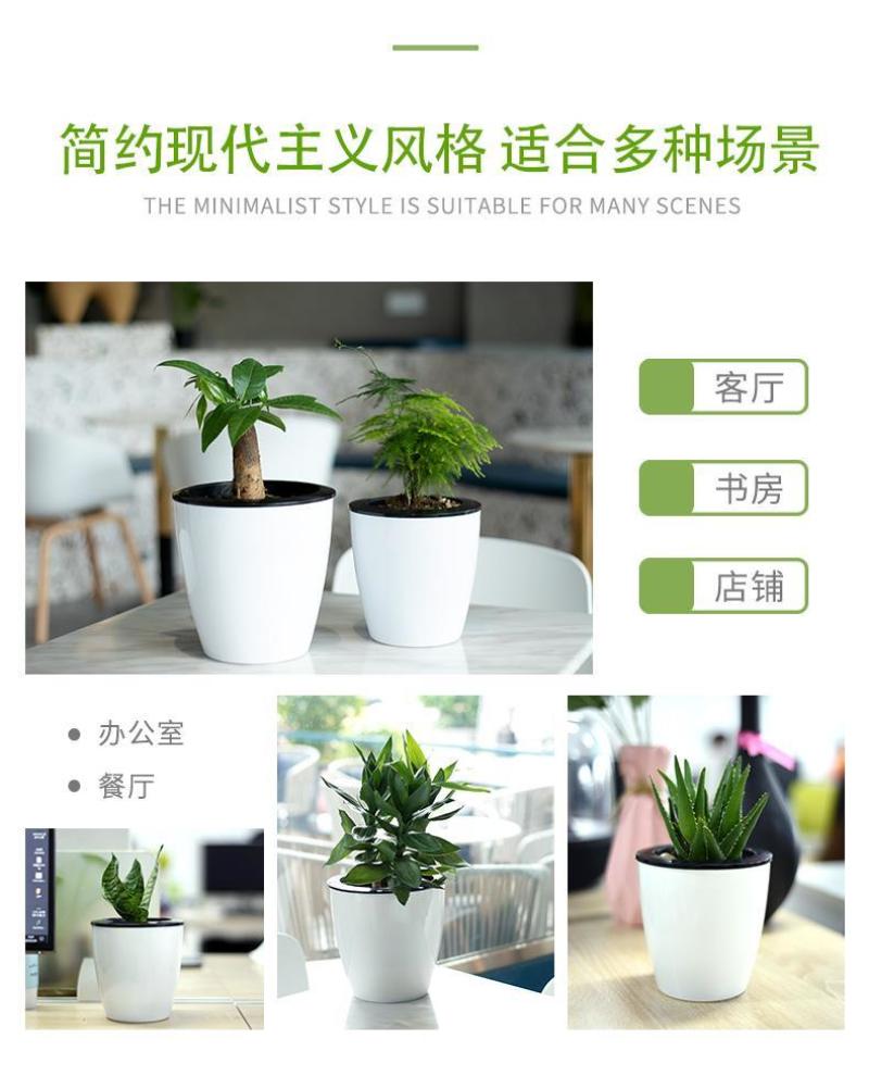 懒人自吸绿萝用懒人盆厂家清仓特价批发吊兰水培自吸盆塑料吸