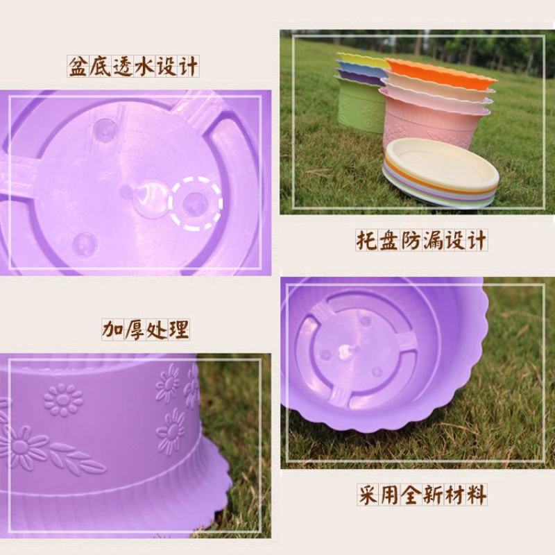 莲花碗塑料花盆大号厂家清仓批发零售莲水培土培盆桌盆栽绿