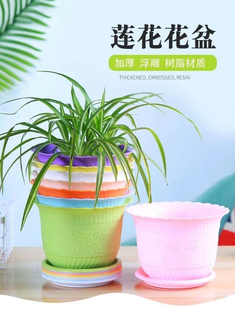 莲花碗塑料花盆大号厂家清仓批发零售莲水培土培盆桌盆栽绿