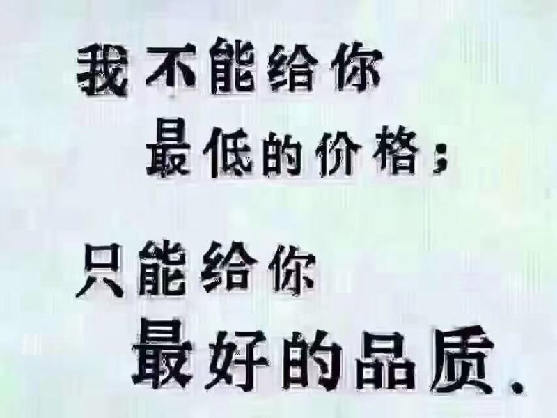 云南冬季草莓烘培草莓蛋糕奶茶糖葫芦商用草莓包