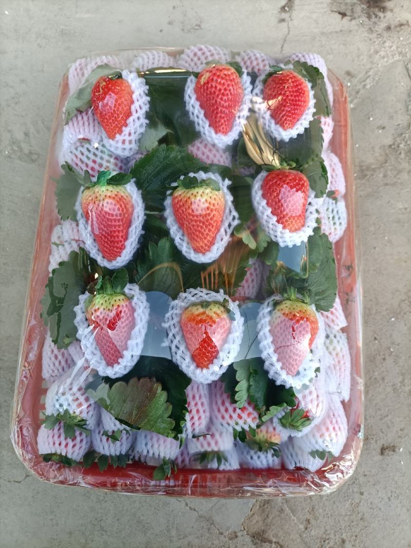 云南冬季草莓烘培草莓蛋糕奶茶糖葫芦商用草莓包