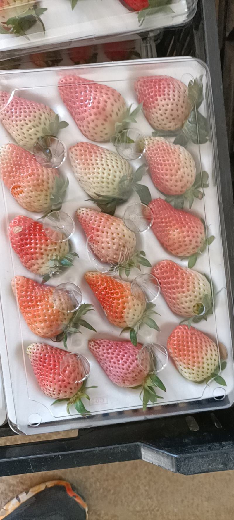 云南冬季草莓烘培草莓蛋糕奶茶糖葫芦商用草莓包