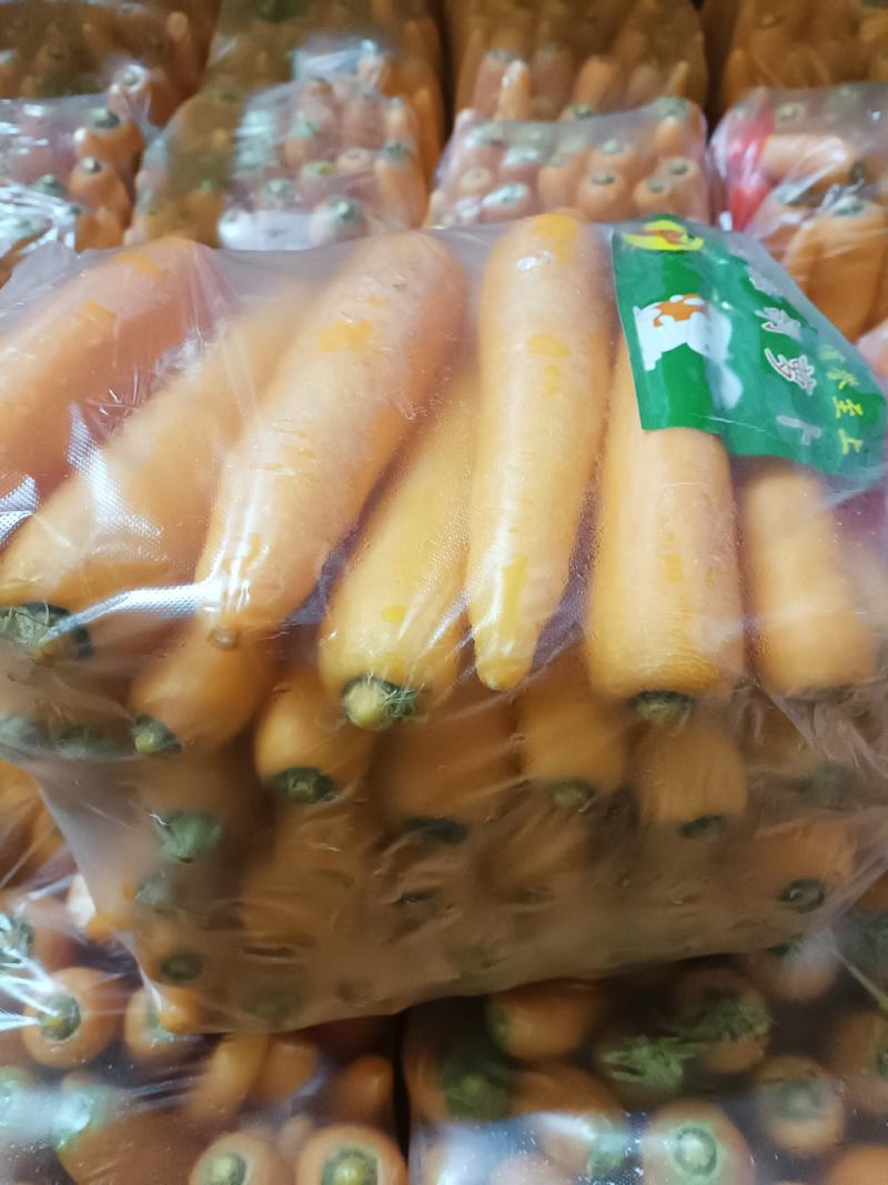 开封新鲜三红萝卜大量上市了，支持全樱，水洗打包分级各种规格