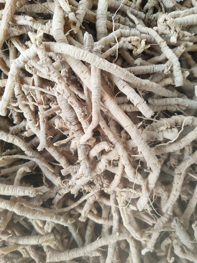 有意者请联系