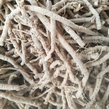 大量批发