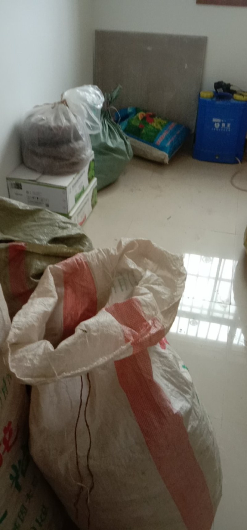 原产地陕西省宝鸡市陈仓区新街镇核桃园北硃砂点苍术干货