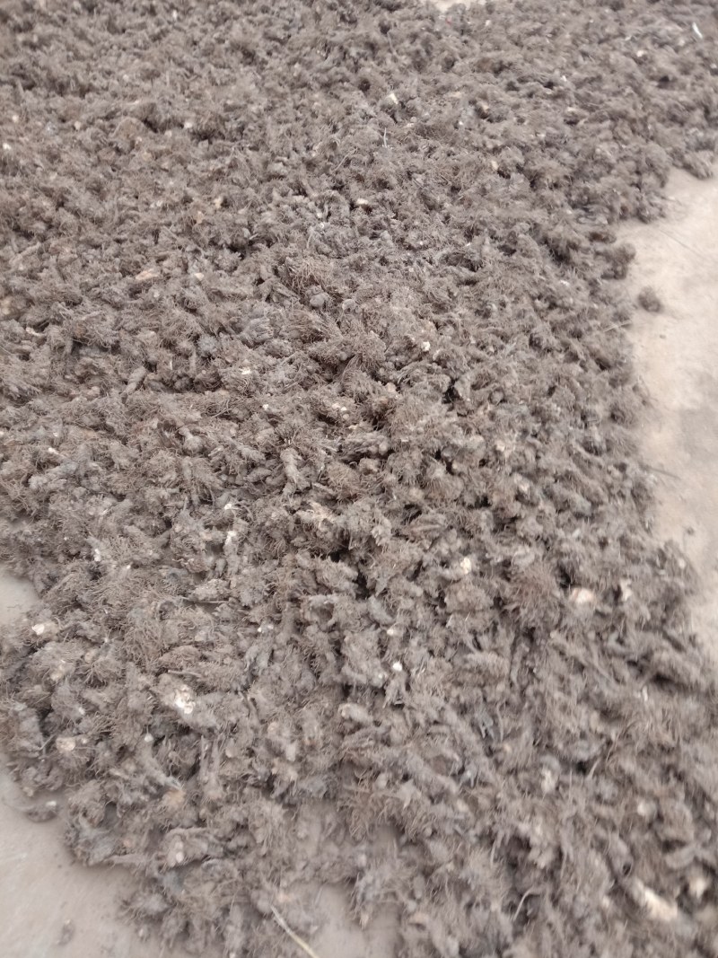 原产地陕西省宝鸡市陈仓区新街镇核桃园北硃砂点苍术干货