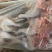 青脚麻公9.5公斤5只装