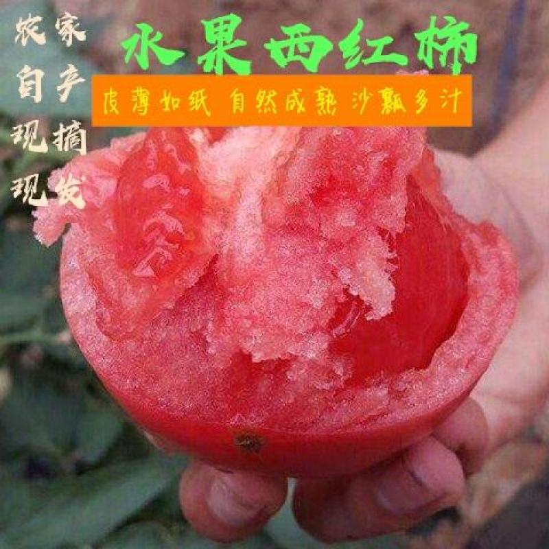 武清区西红柿水果西红柿，草莓西红柿自家种植，儿时的味道