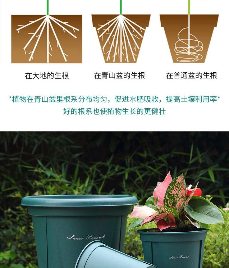 青山盆花盆厂家直销特价批发零清仓控根花盆月季铁线莲加仑盆
