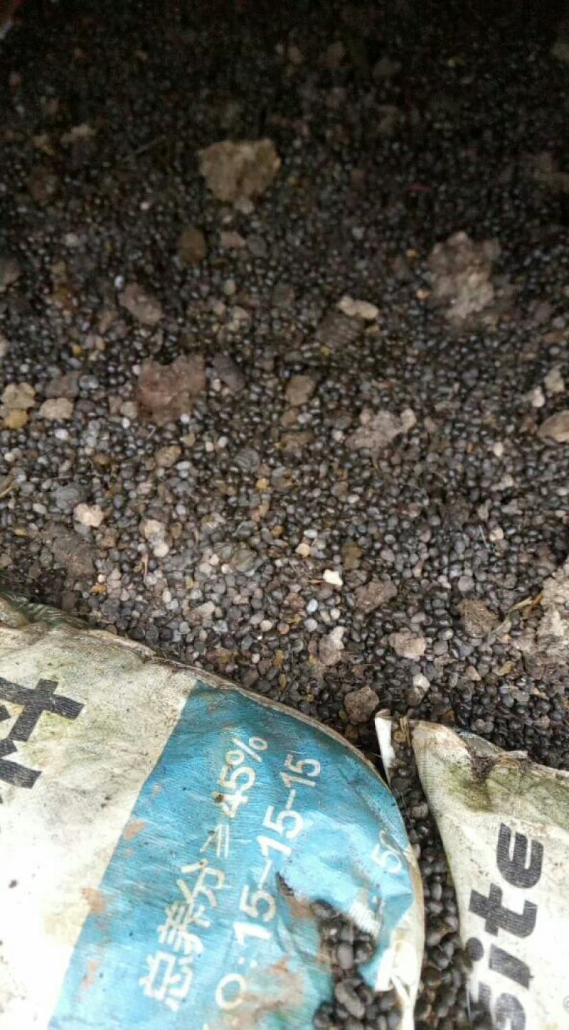 羊粪