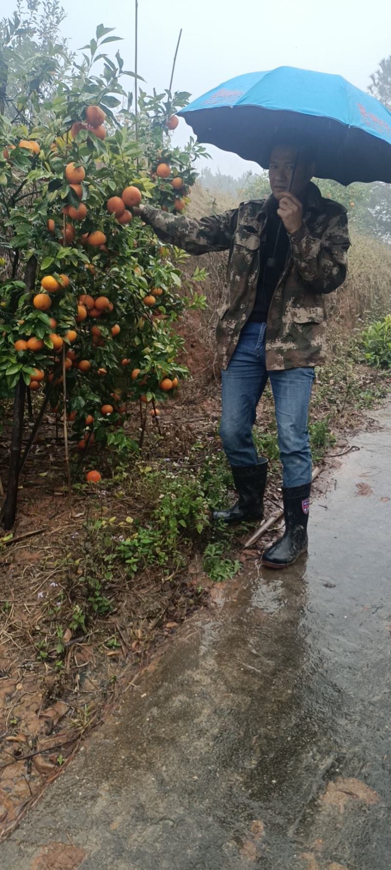 批发零售