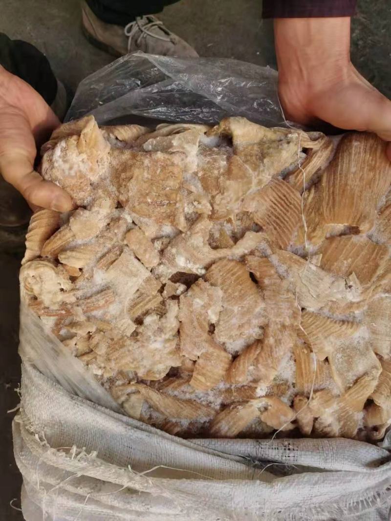 牛大肠，实拍图片，一手货源，全国冷链发货