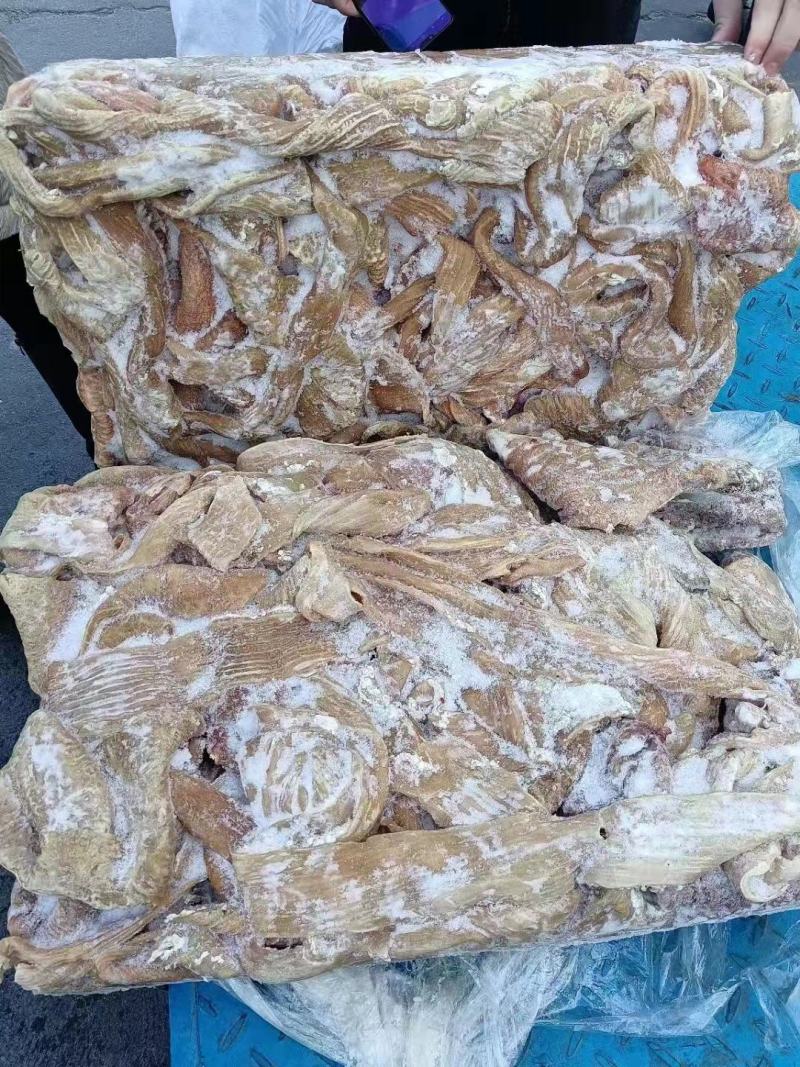 牛大肠，实拍图片，一手货源，全国冷链发货