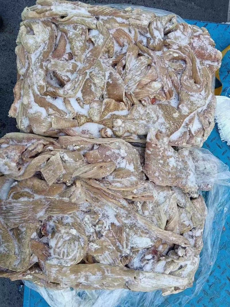 牛大肠，实拍图片，一手货源，全国冷链发货