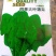 蔬菜种子四季香菜朝天椒菠菜孑韭菜荠菜生菜南瓜葫芦黄瓜丝瓜