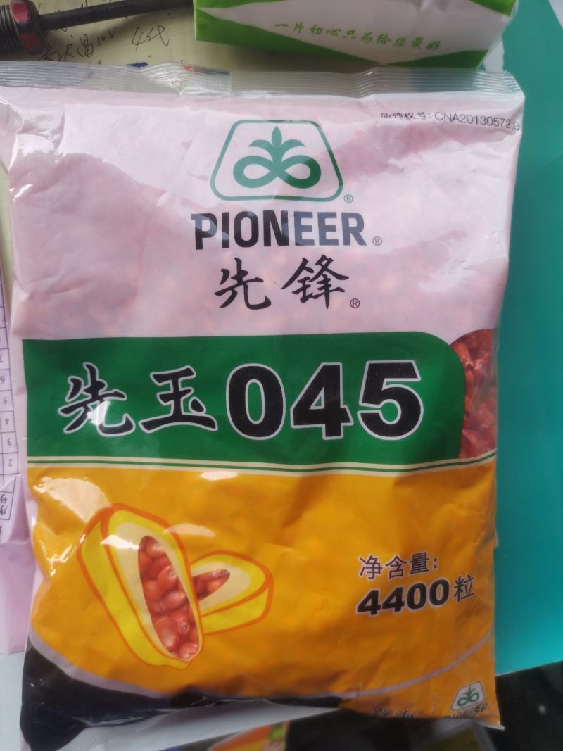 高产玉米种先玉045矮杆苞谷种抗病抗灾抗倒大棒轴细粒深抗
