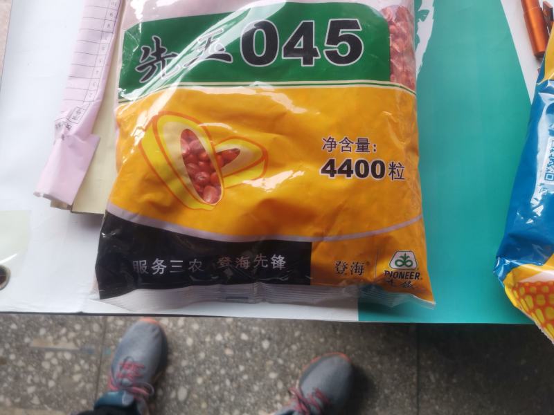 高产玉米种先玉045矮杆苞谷种抗病抗灾抗倒大棒轴细粒深抗