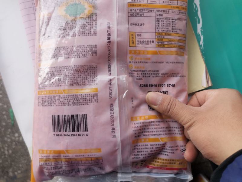 高产玉米种先玉045矮杆苞谷种抗病抗灾抗倒大棒轴细粒深抗