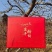 2024富平柿饼新货持续发货，可一件代发