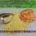 【厂家】食用玉米面玉米淀粉玉米粉农家粗细玉米粉包邮