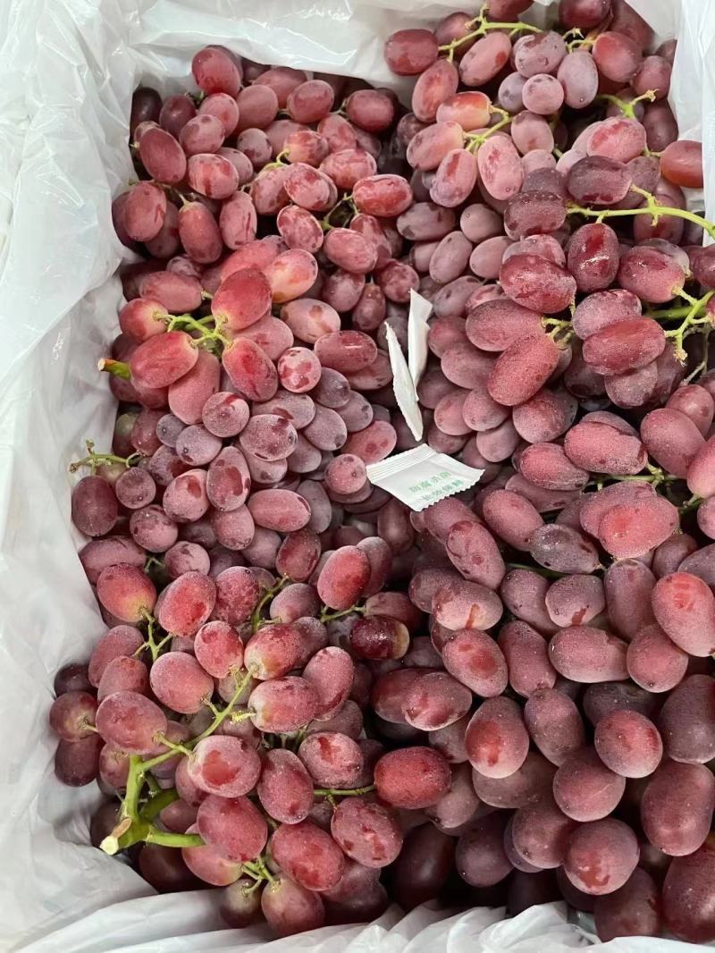红提品种优良细嫩多汁果穗大整齐度好耐储存