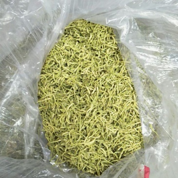 金银花