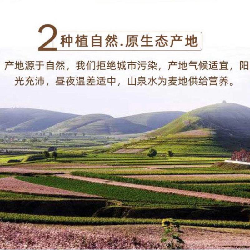 有康粮品五斤纯荞麦面粉全麦面自磨家用农家新荞低脂面低筋杂